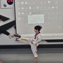 용인대 국가대표 태권도 스쿨 이미지