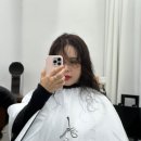 엘시크 이미지