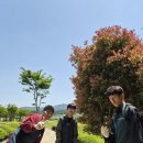보성 제다실습~ 이미지
