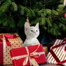 판교 행복한 동물병원 이미지