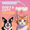 형제동물병원 이미지