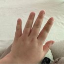 셀트기기 | 바디셀트압박밴드 임산부 내돈내산 사이즈 착용법까지 찐 후기