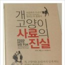 모모맘마 이미지