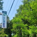 여월공인중개사사무소 이미지