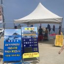 [삼척여행 2박3일] 연이네왕소금구이/갈남항/용화물회/용화해수욕장/밤새우치닭/한우만/가루베이커리...