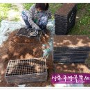 대금농장 이미지