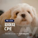 소로동물병원 이미지