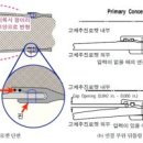 챌린저호 이미지