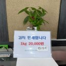 맛칼국수 | [경기/광주] 초월 맛집 “밀토랑 바지락칼국수” 맛 가격 주차 후기