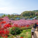 완산공원(정상) 이미지