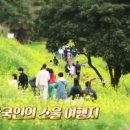 카카오 이미지