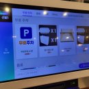 장미반점 이미지