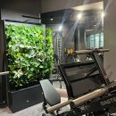 고유 피트니스 이미지