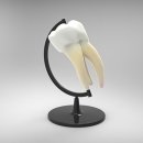 반포이치과의원 이미지