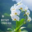 강희정헤어공간