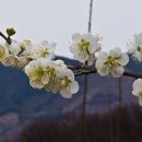 실원 이미지