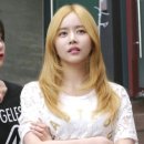 파랑새 세탁소 이미지