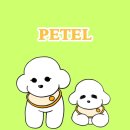 내포리,머뭄 이미지