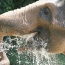 (주)신일테크 이미지