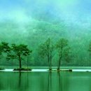 태릉입구역 3번출구 버스정류장 이미지