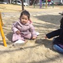 장천공원 Daum카페