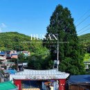 명당소불고기전골