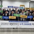 새빛