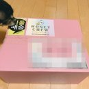 허니츄 | 까미네일기(부제:댕댕이수제간식 허니츄 후기)