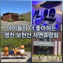 영천 여행] 보현산 자연휴양림 숲속의집 15번 투숙 &amp; 짜릿했던 VR 체험 후기