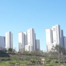 금빛푸르지오공인중개사사무소 이미지