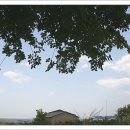 그바다에 가면 이미지