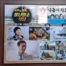 생방송투데이 의성 마늘 염소 전골 불고기 껍데기볶음 자족식당 뿔난염소식당 위치