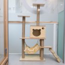 미소메디컬센터 이미지