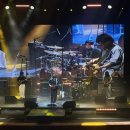 봄 인디, 보러와유 이미지