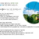 새춘천주유소 이미지
