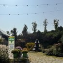 천안목장 | 천안 아이와 가볼만한곳 가을 천안여행 코스 화수목 수목원 맘맘스 목장