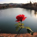 성산공원 이미지