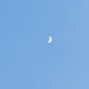 닐리파스타앤피자 이미지