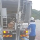 천지주유소 이미지