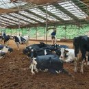 홀인원목장 이미지