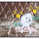 귀공자당구장 이미지