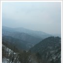 태백로 Daum카페