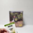 (주)스마트오일 | 매일 아침 루틴 산패 걱정 없는 파지티브호텔 올리브오일 캡슐 쿠파주