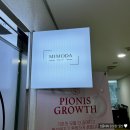 [대전] 괴정동 피부관리샵 두피케어 디톡스 후기 &#34;미모다뷰티&#34;