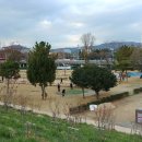 수림지 파크골프장2 이미지