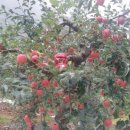 방자농장 이미지