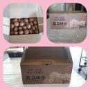 늘픔농장 이미지