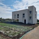 도체비낭 게스트하우스 이미지