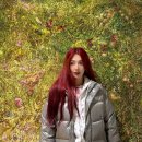 조이 이미지