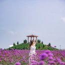 찬호팜 이미지